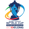 2013 World Cup Comp Logo