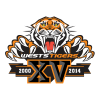 Tigers 15years
