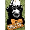 willy tip200x200