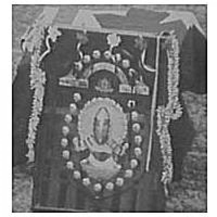 F7sJJ_Giltinan_shield_240406.jpg
