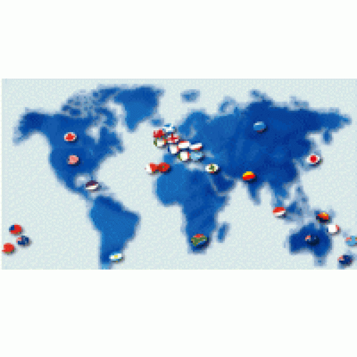 Rep_Internationalworld_cup_roadtoWC290406.gif