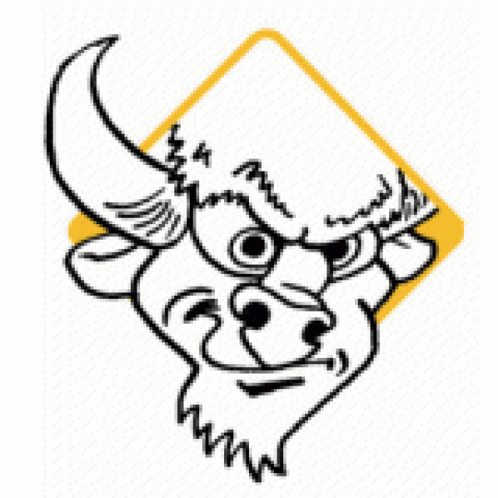 buffloes-bramley-logo-08.gif