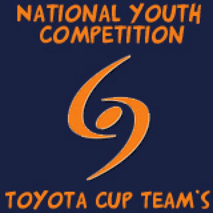 toyotacupteams.jpg