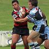 Bears-Kaifoto-John_0703.jpg