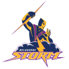 MelbourneStorm.png