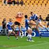 NSWRL_Lions_Tigers.jpg