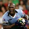 Sailor-Wendell_waratahs2005.jpg