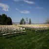 field-chairs-trees.jpg