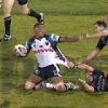 panthers-v-tigers_civoniceva-080407.jpg