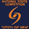 toyotacupwrap.jpg