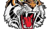 Helensburgh Tigers2