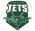 Jets Logo on website