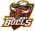 wide bay bulls badge2
