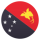 flag papua new guinea