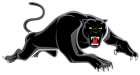 PenrithPanthers 2019 White Keyline